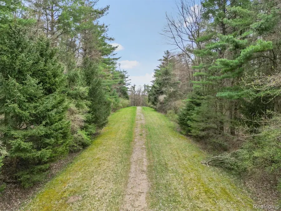 11.01 Acres Vac Knights Bridge, Leonard, MI  - Image #2