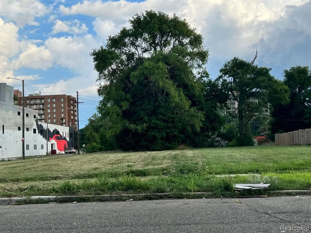 2203 Lothrop, Detroit, MI  - Image #1