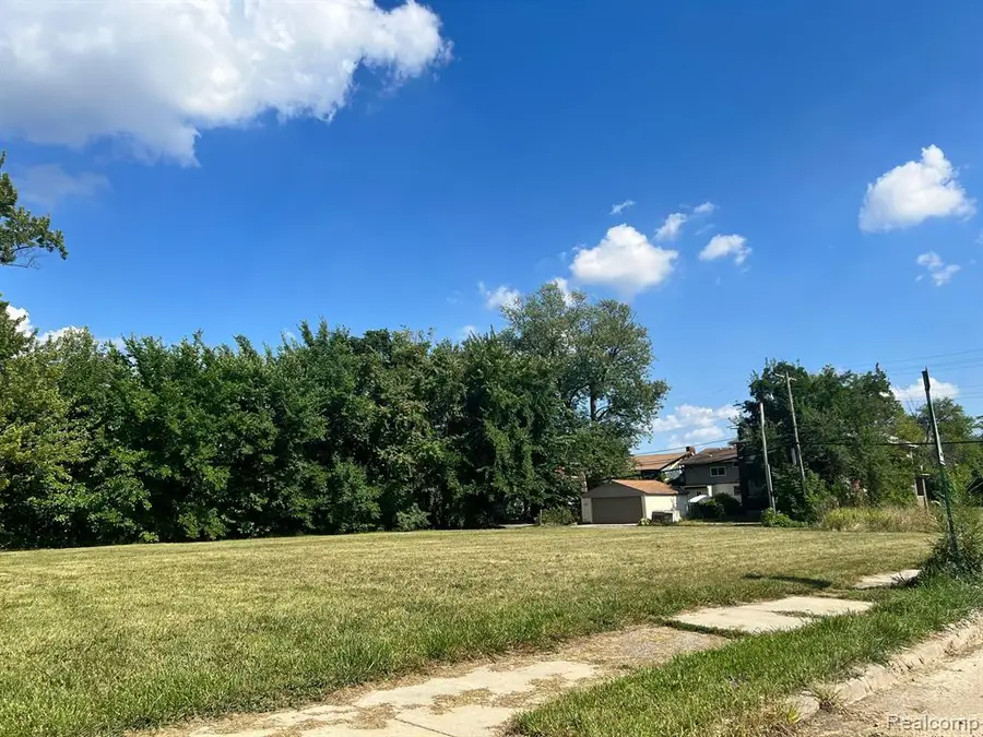 2081 Virginia Park, Detroit, MI  - Image #3