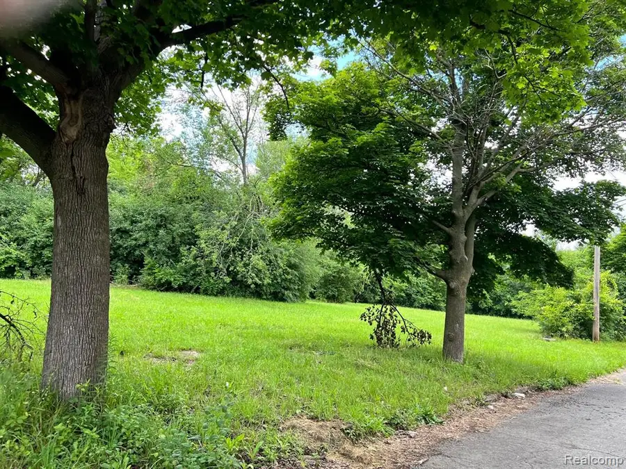 2417 W Edsel Ford, Detroit, MI  - Image #2