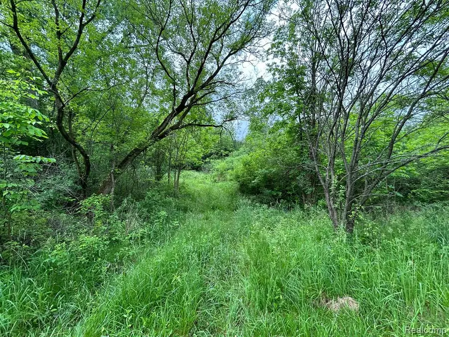 2356 S Dye, Flint, MI  - Image #3