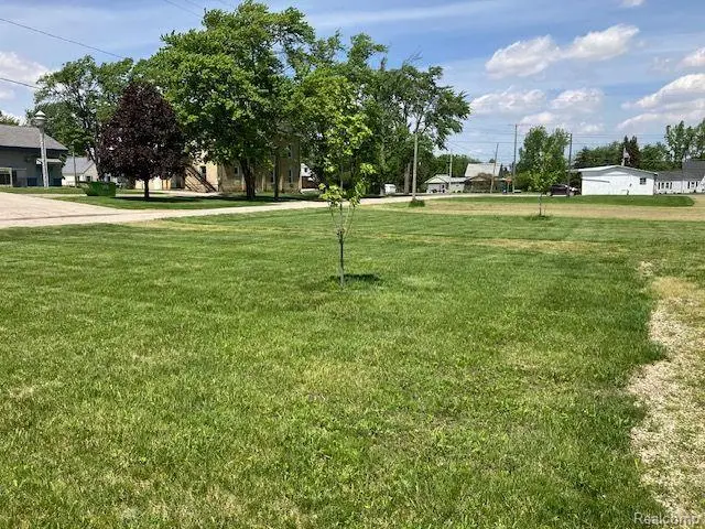 TBD First, Minden City, MI 48456 - Image #3