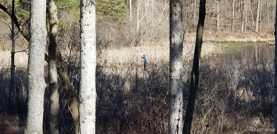 5163 Pine Hill, Howell, MI  - Image #2