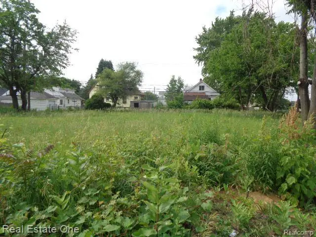 5201 Casmere, Hamtramck, MI  - #2