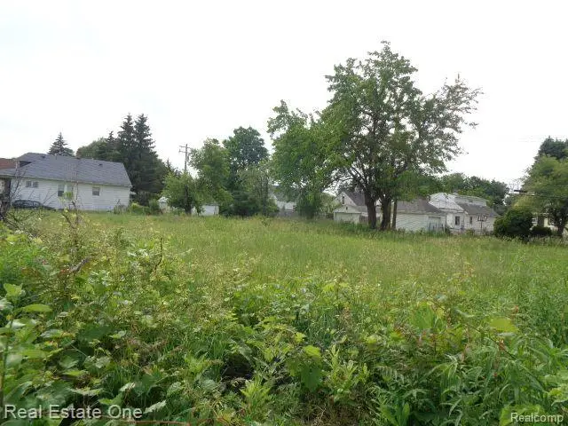 5201 Casmere, Hamtramck, MI  - #3