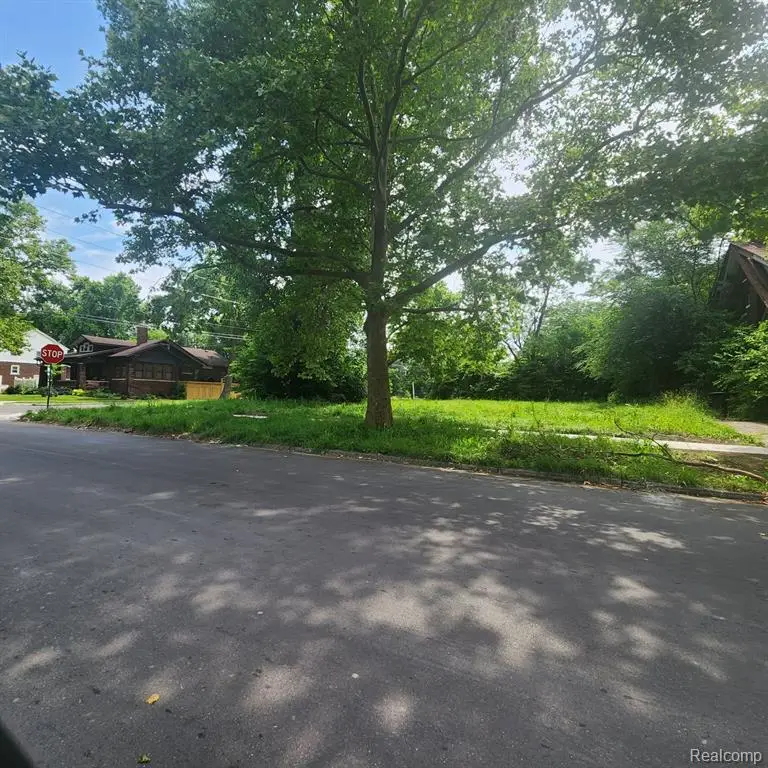 503 Lakewood, Detroit, MI  - Image #2