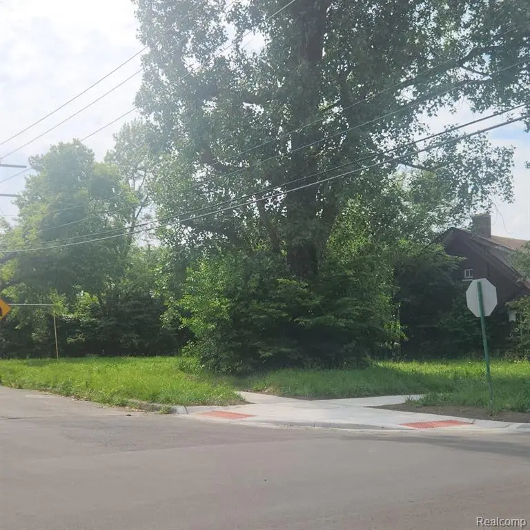 503 Lakewood, Detroit, MI  - Image #3