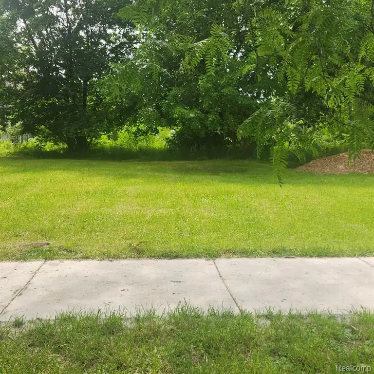 877 Manistique, Detroit, MI  - Image #3