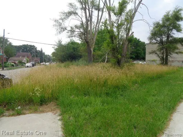 18553 James Couzens, Detroit, MI 48235 - #3