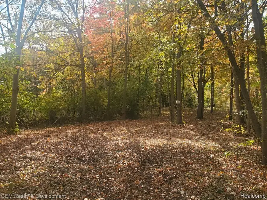 6002 7 Mile, Northville, MI 48167 - Image #2