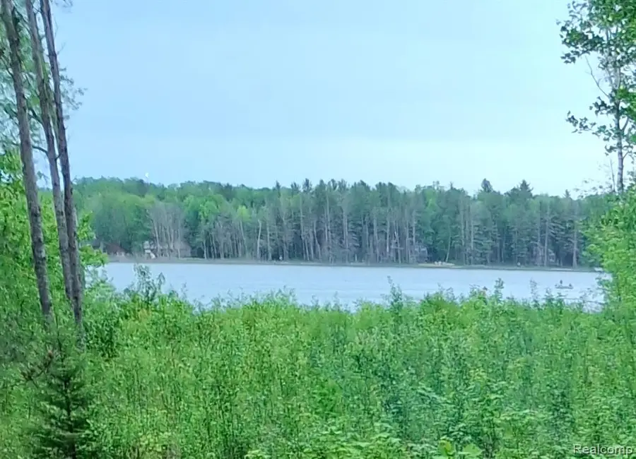 Lot 101 Breezewood, Mancelona, MI 49659 - #2