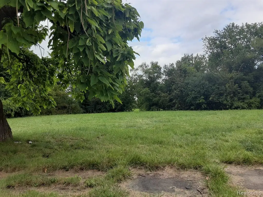 5066 25th, Detroit, MI 48208 - #1