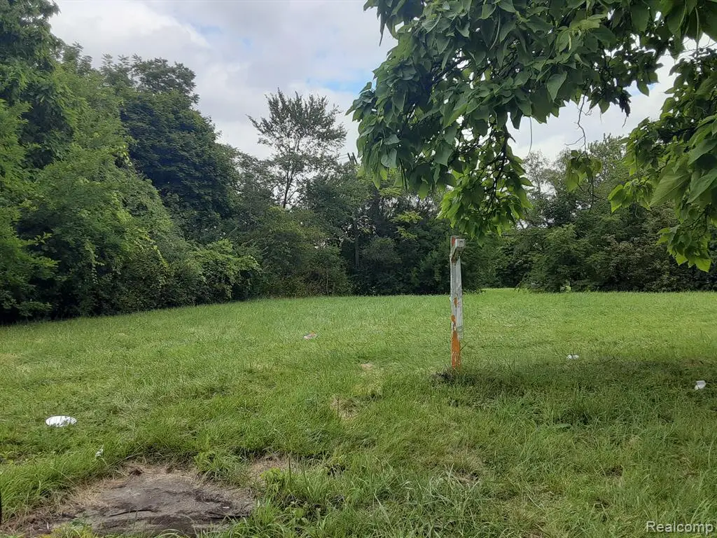 5072 25th, Detroit, MI 48208 - #1