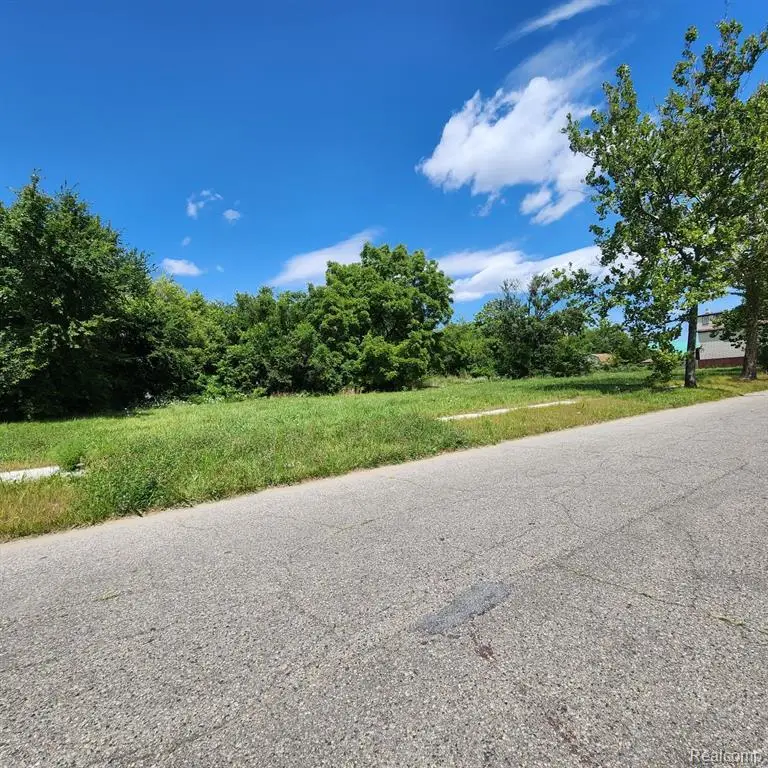 945 E Euclid, Detroit, MI  - Image #2