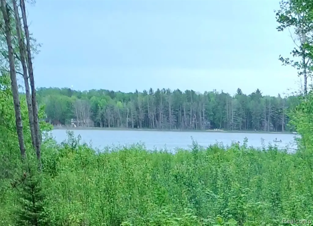 Land 99 Breezewood, Mancelona, MI 49659 - #1