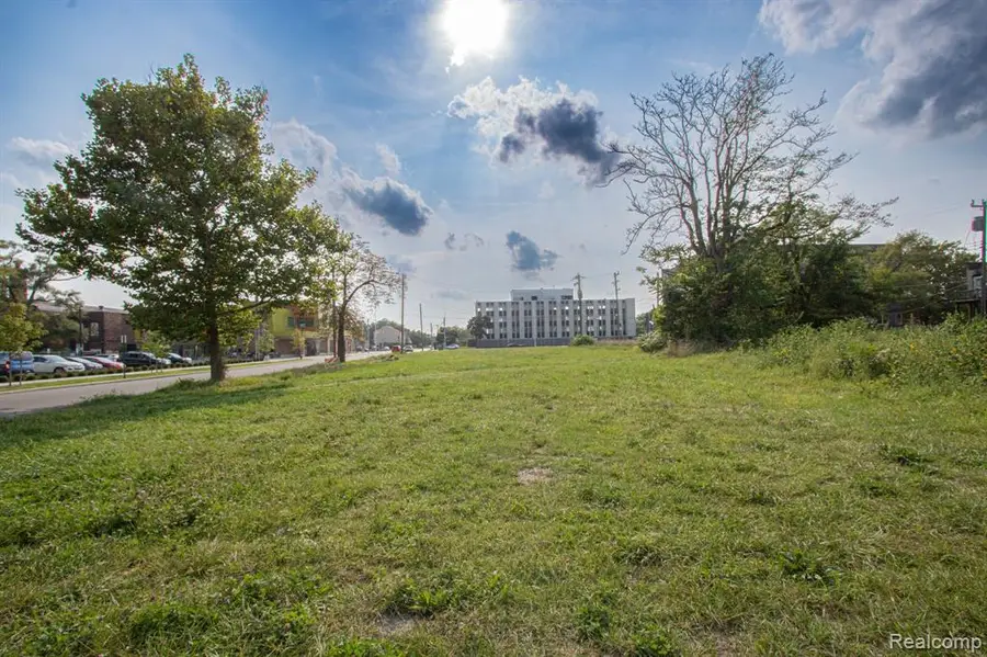 45 E Euclid, Detroit, MI 48202 - #3