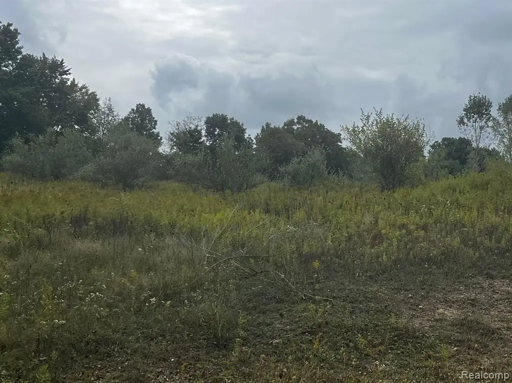 00 S Creek Lane, Dryden, MI 48428 - Image #1