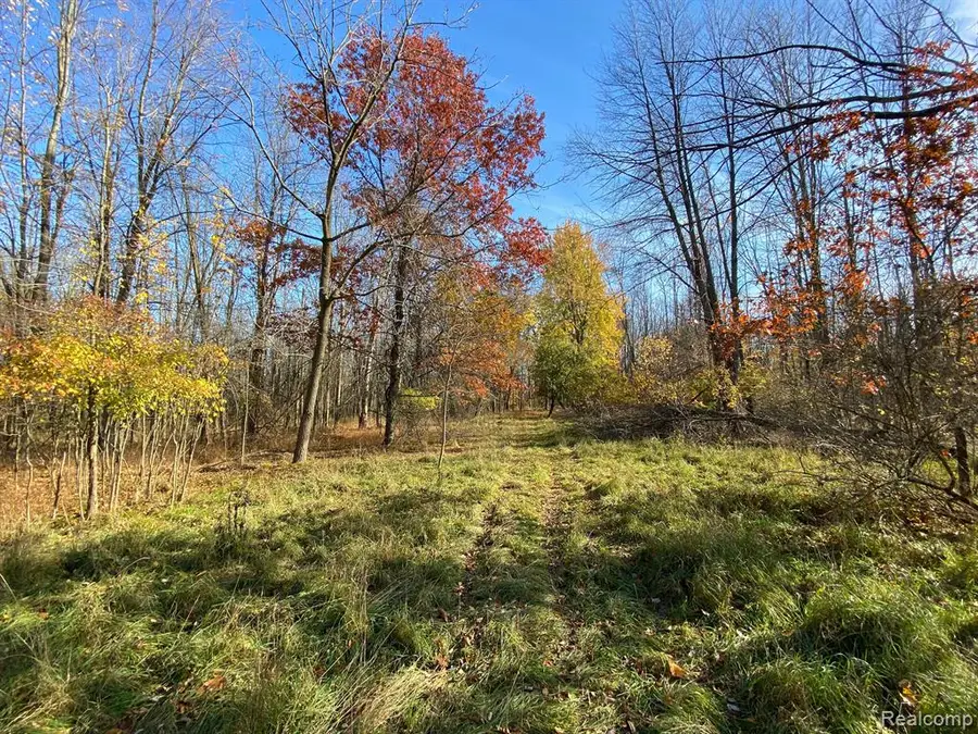 0000 E Coggins, Pinconning, MI 48650 - Image #2