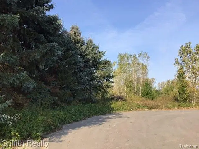 00 Country Corner, Fowlerville, MI  - #1