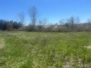 9062 Tower, Salem, MI  - Image #2