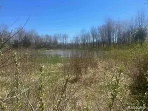 9062 Tower, Salem, MI  - Image #3