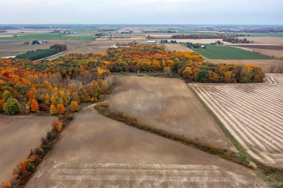 0 Wood, Marlette, MI  - Image #3