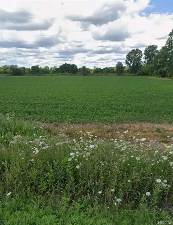 2.0 Acres Vacan Coon Creek, Armada, MI  - #1