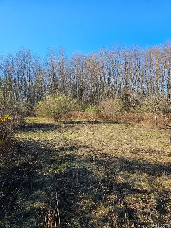 00 Hough, Almont, MI 48003 - Image #3