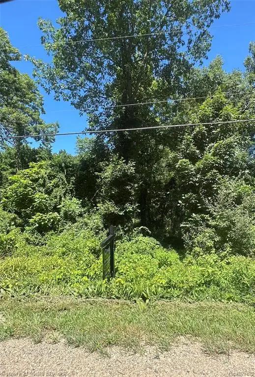 00 White Lake, Fenton, MI 48430