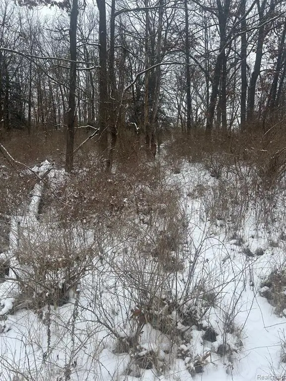 12840 Larkins, Brighton, MI 