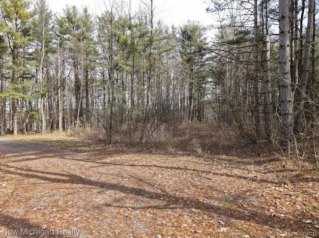 11461 White Lake, Fenton, MI 48430 - #2
