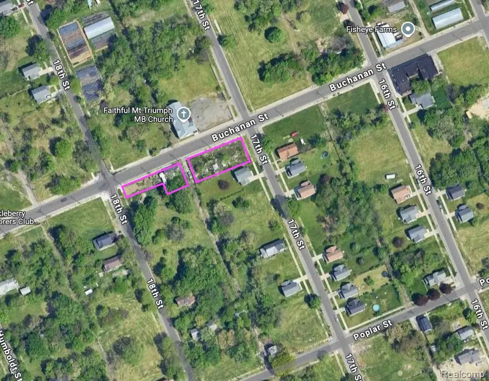 2507 Buchanan, Detroit, MI  - Image #1