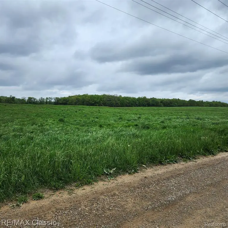 8520 Arkona, Clinton, MI  - #2