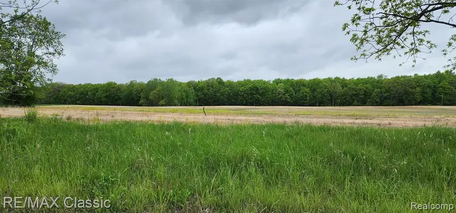 8520 Arkona, Clinton, MI  - #3