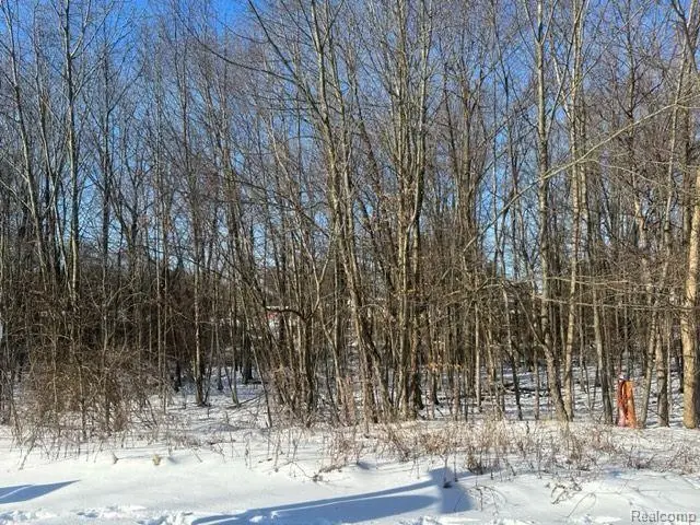 Lot 21 Forest Gate, Grand Blanc, MI 48439 - #2