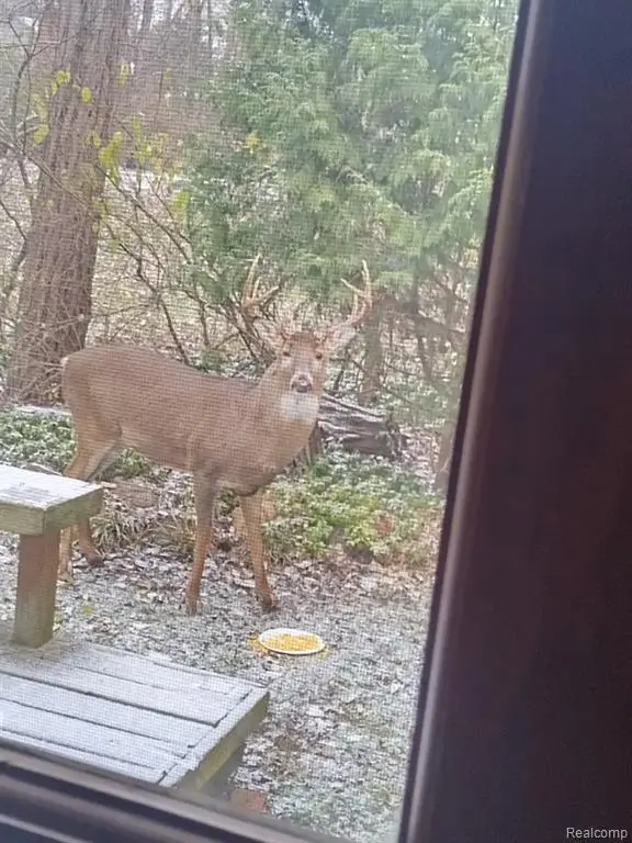 25690 W 14 Mile, Bloomfield Hills, MI  - Image #2