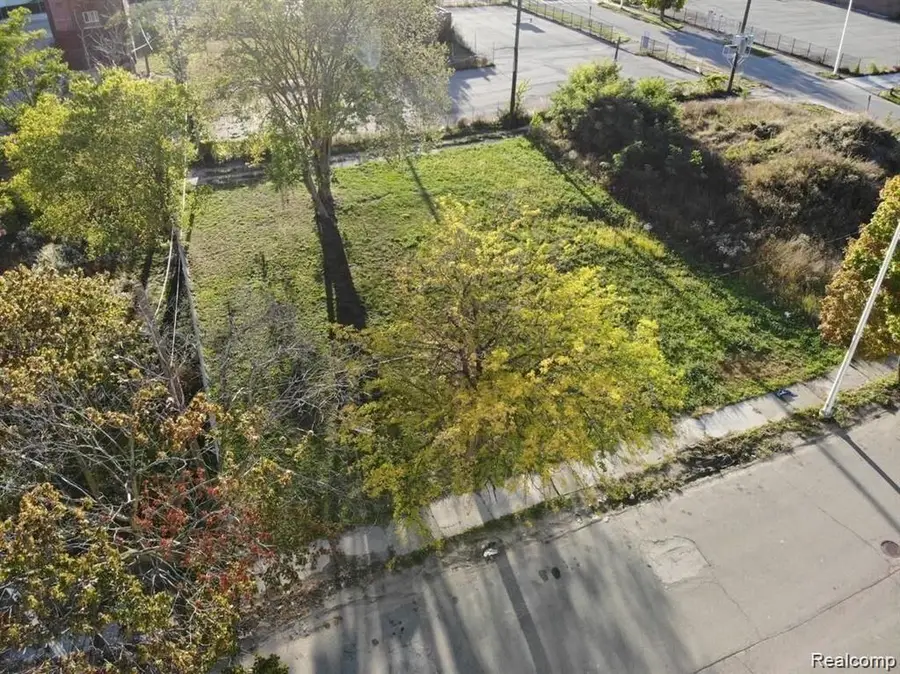 2939 Park, Detroit, MI 48201 - #2