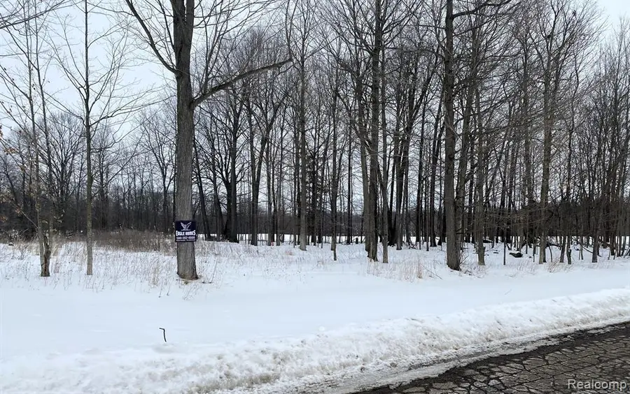 4171 Belle Ridge, Dryden, MI 48428 - #3