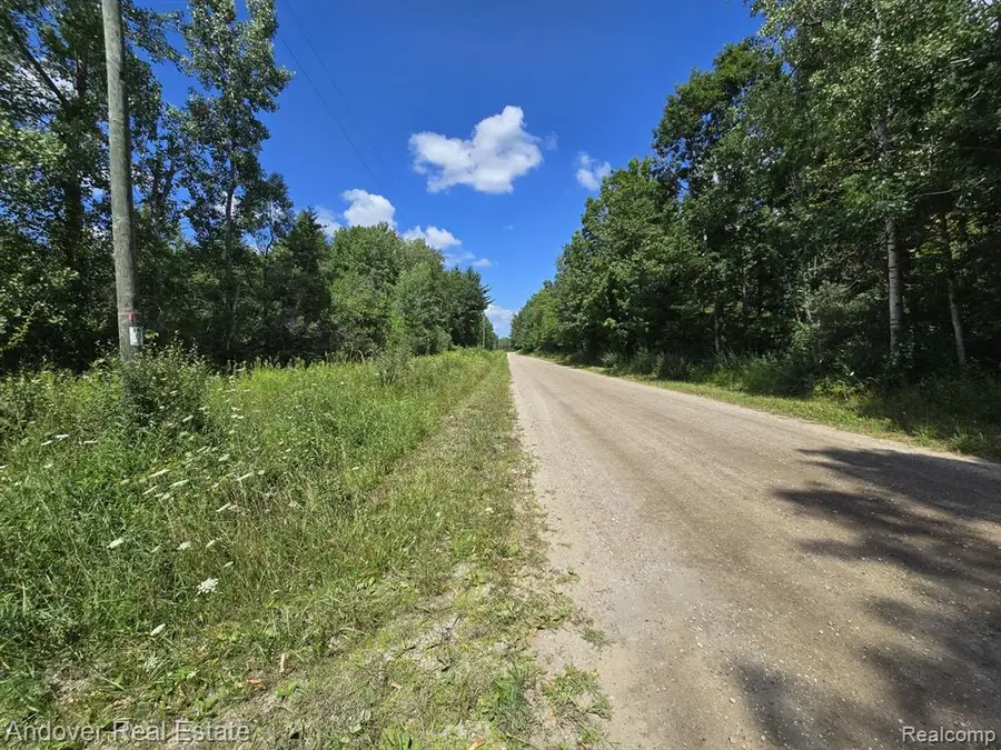 000C Leckrone, Brethren, MI 49619 - Image #2