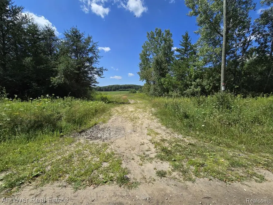 000C Leckrone, Brethren, MI 49619 - Image #3