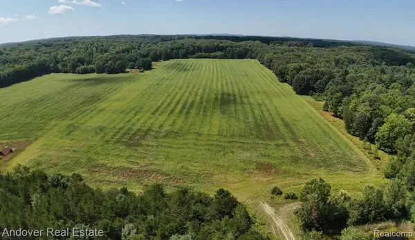 00B Leckrone, Brethren, MI 49619