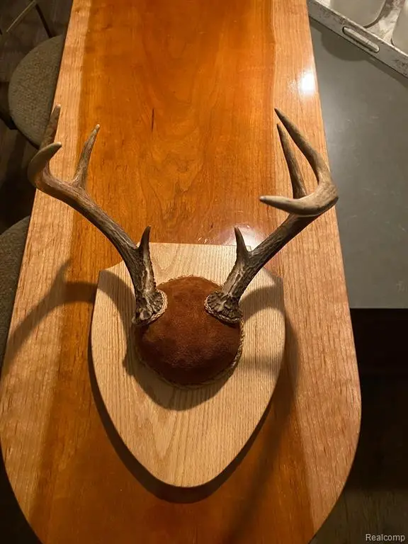 000 S River, Garfield, MI  - Image #3