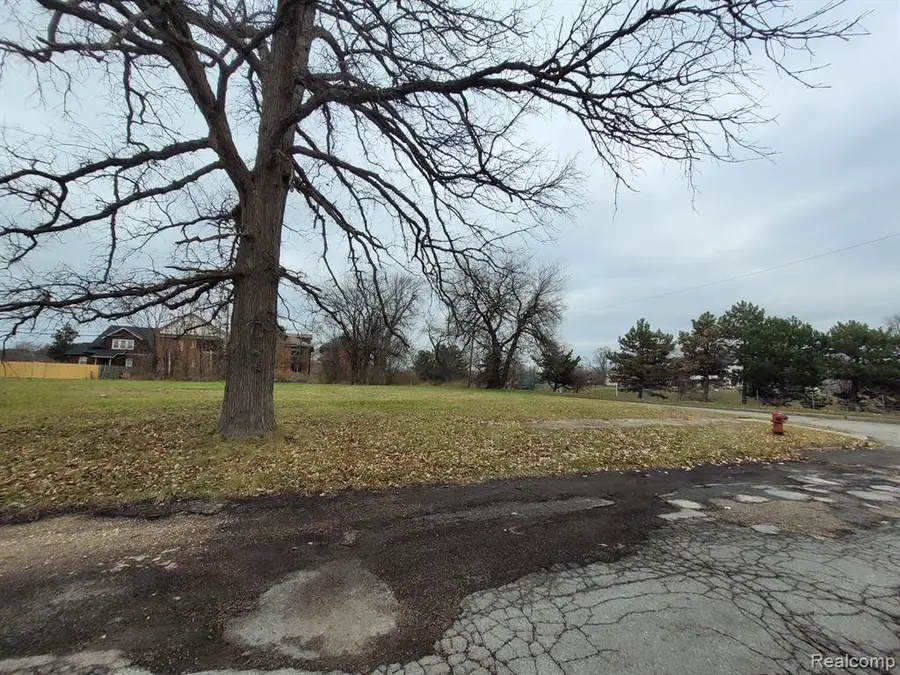 1546 Collingwood, Detroit, MI 48206 - #3