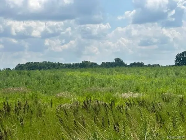 Parcel E Hogan, Linden, MI 48451