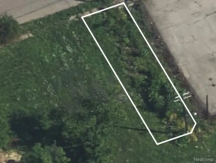 1925 Merrick, Detroit, MI 48208 - #2