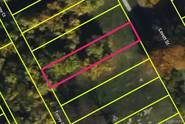 3533 Lovett, Detroit, MI 48210 - #3