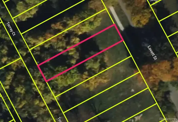 3539 Lovett, Detroit, MI 48210 - #3