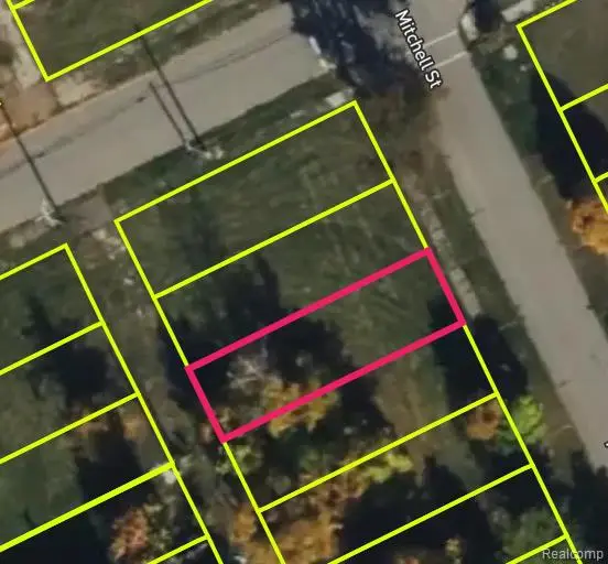 5347 Mitchell, Detroit, MI  - Image #3