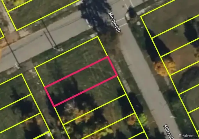 5357 Mitchell, Detroit, MI  - Image #3