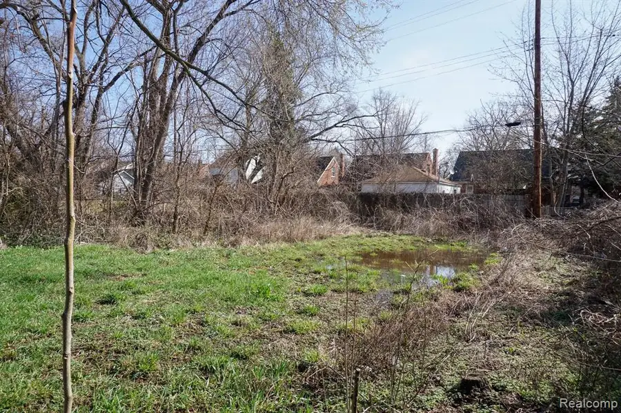 14630 Southfield, Detroit, MI 48223 - #3